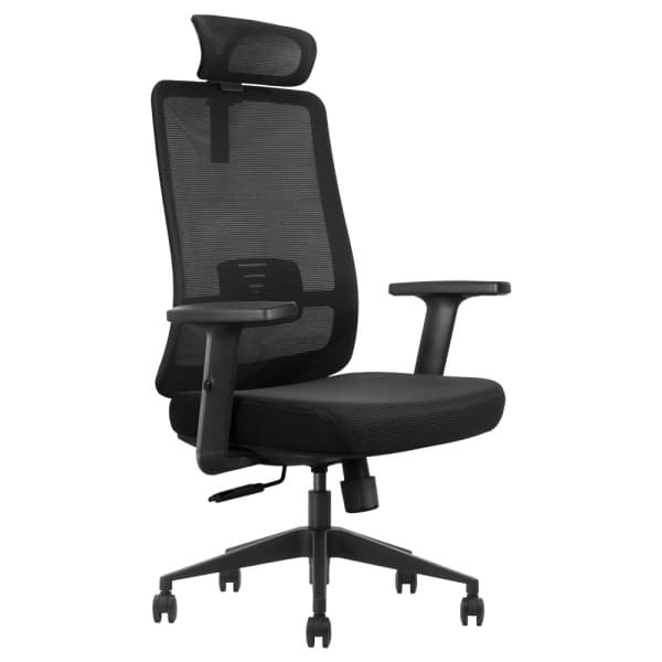 SKILLCHAIRS Ergo Luna thumbnail 2